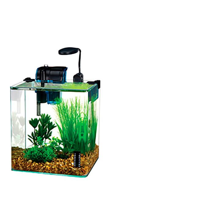 Vertex Aquarium
