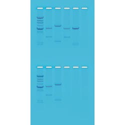 Biotechnology, Item Number 562012