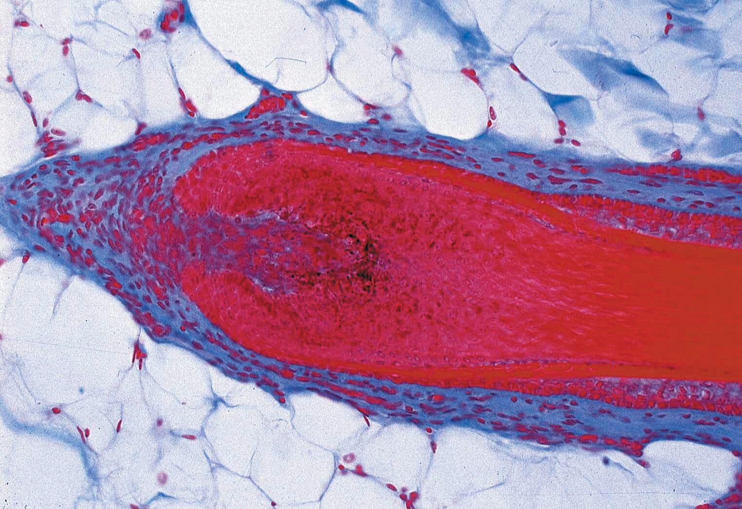 Science Survey Sets, Item Number 581449