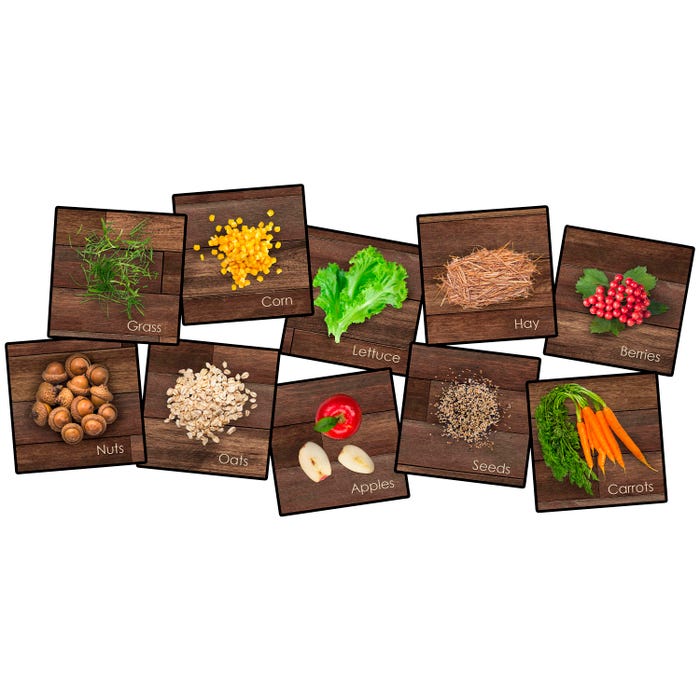 Childcraft Photo Fun Farm Friends Carpet Squares, 16 x 16 Inches, Set of 10