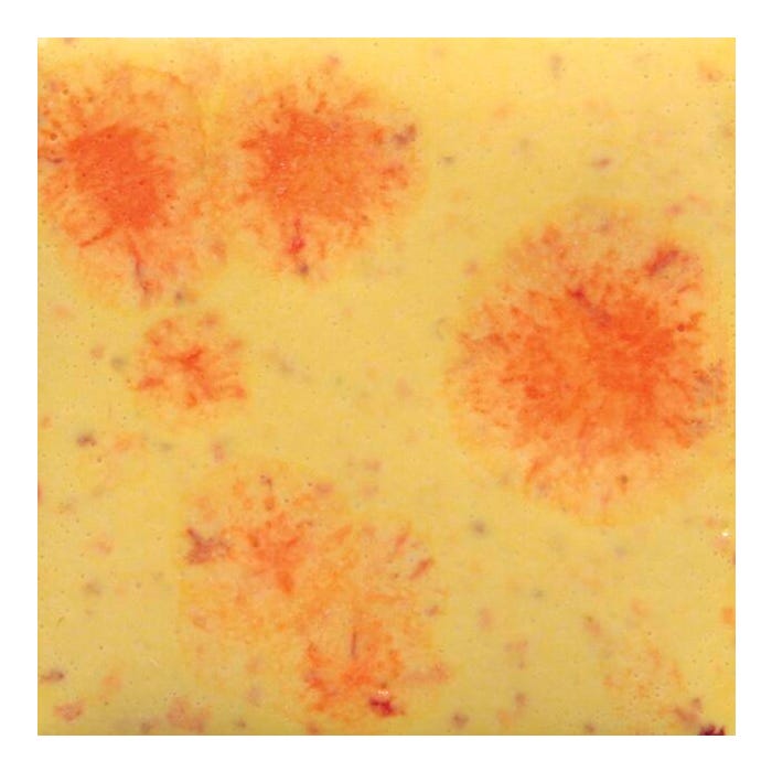 Mayco Crystalite Crystal Glaze, S2729 Citrus Splash, Opaque, Pint