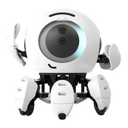 ANGLEIMAGES_FULLIMAGE