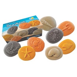 Image for Yellow Door Let's Investigate Seashore, Set of 8 from School Specialty