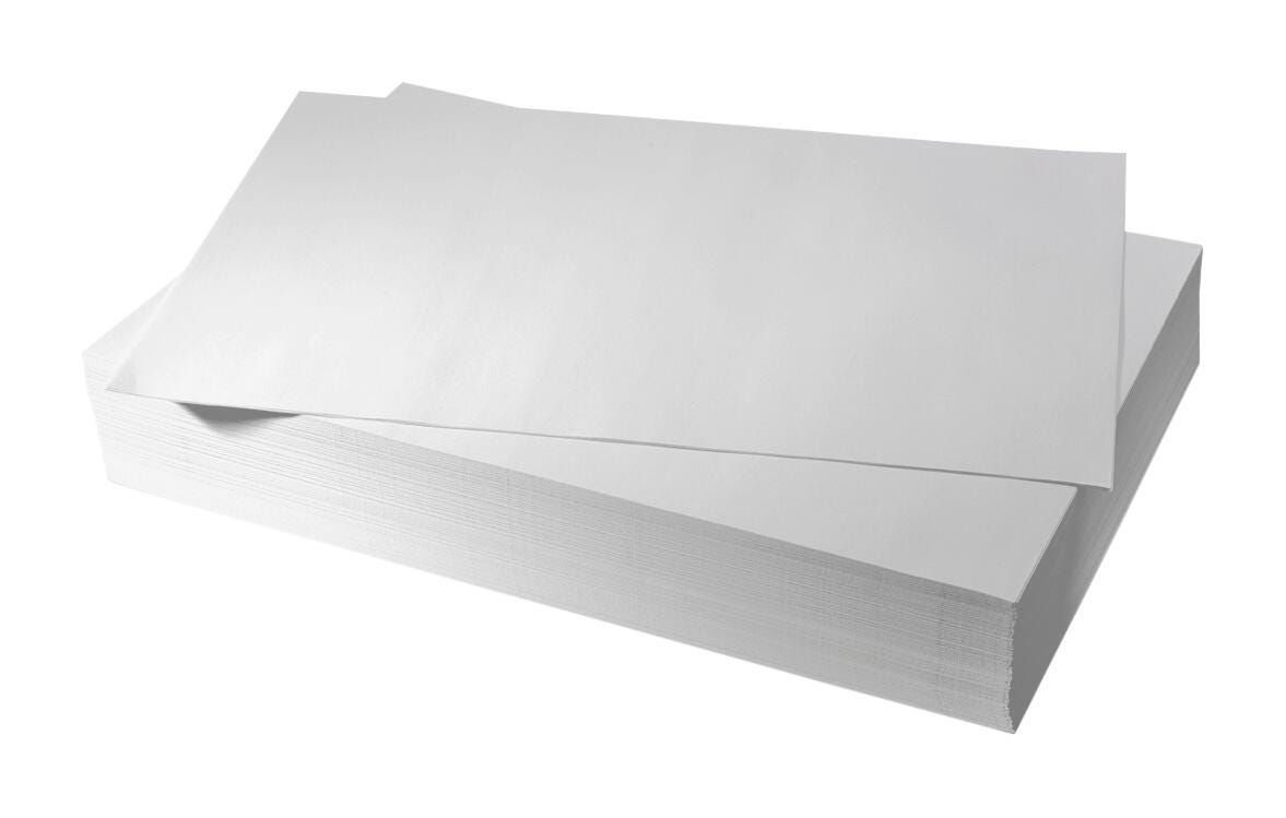 Nasco White Mixed Media Paper, 12 x 18 Inches, 60 lbs, Pack of 500