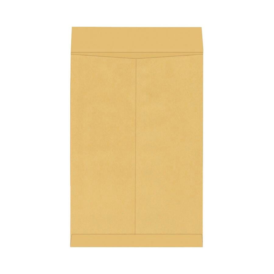 School Smart Catalog Envelopes, 15 x 20 Inches, Kraft, Box of 25 2133838
