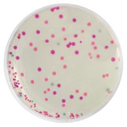Biotechnology, Item Number 1500907