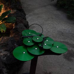 ANGLEIMAGES_FULLIMAGE