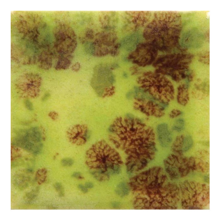 Mayco Jungle Gems Crystal Glaze, Pint, CG-717 Pistachio, Translucent