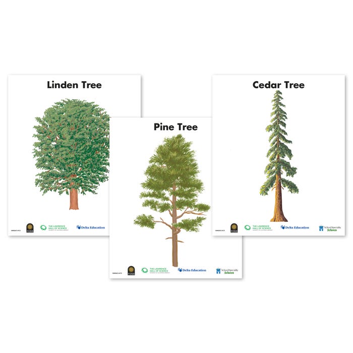 Delta Education Tree Posters, Linden, Pine, Cedar, Set of 3