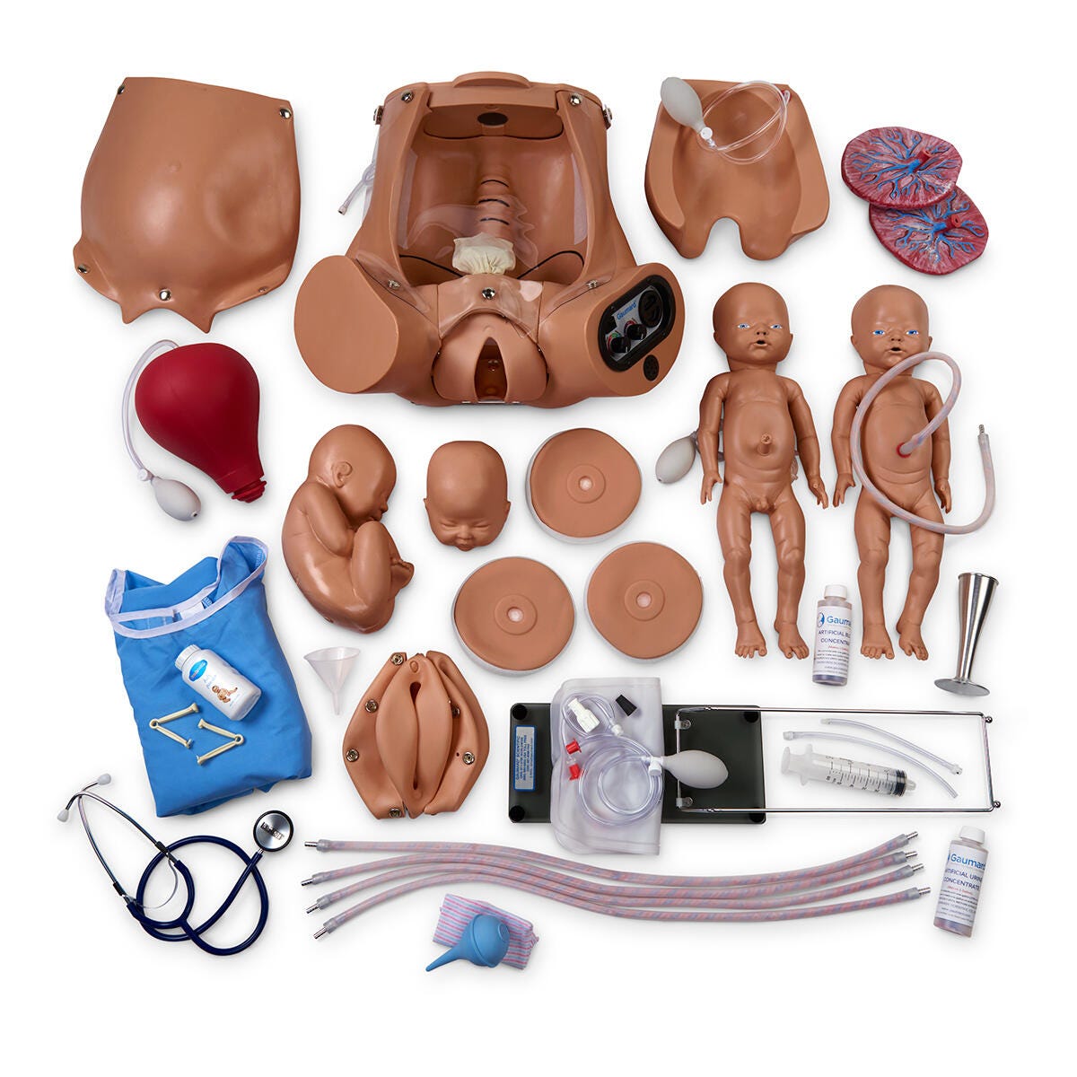 Image for Gaumard® Advanced OB Susie® Birthing Torso - Medium from School Specialty