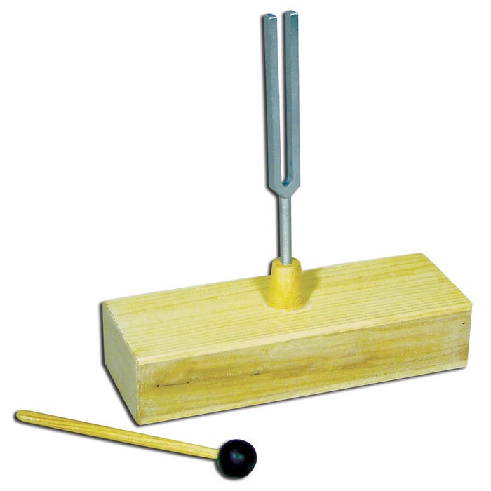 Frey Scientific Resonance Box with Tuning Fork - 320 Hz