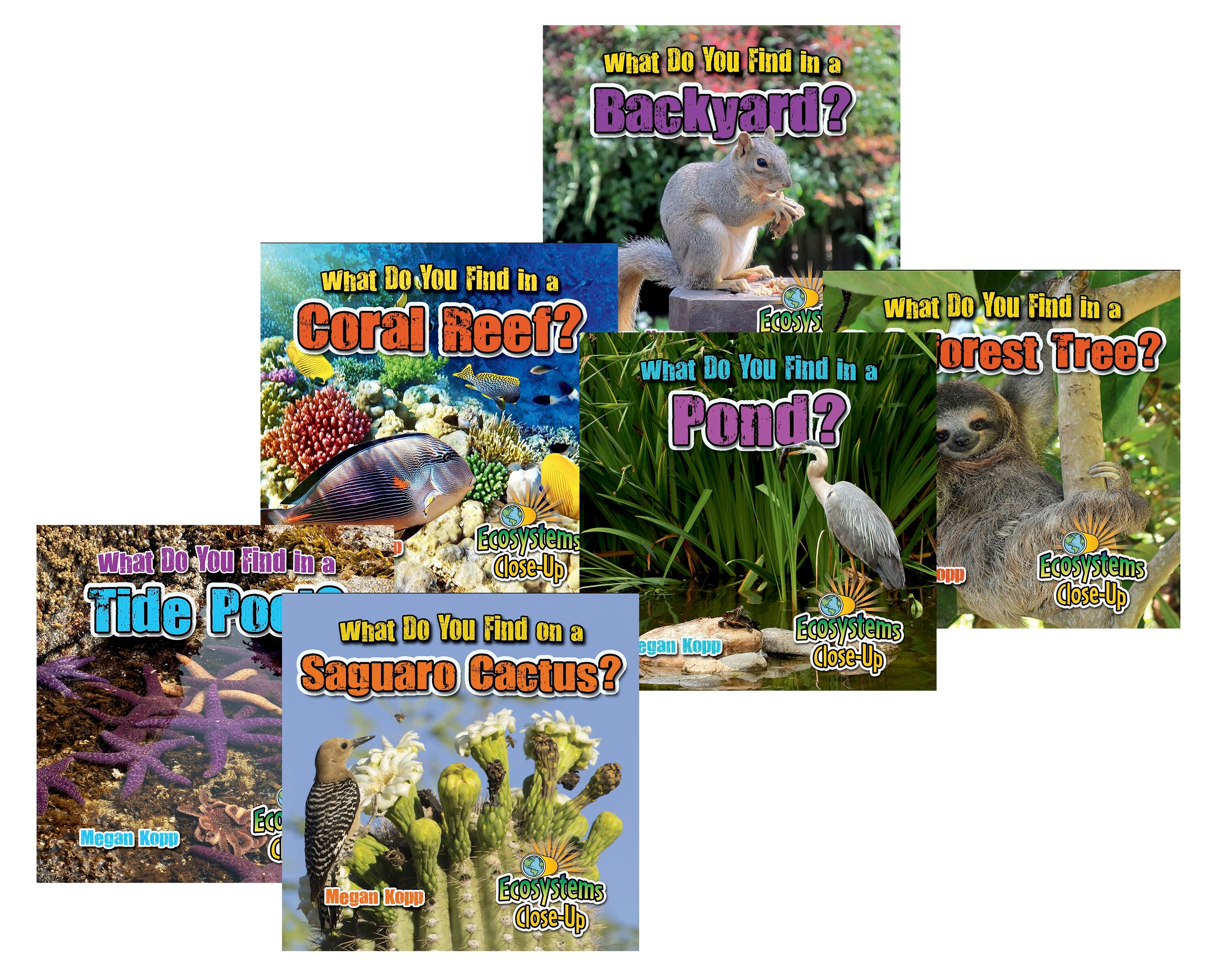 Independent Reading, Item Number 1570133