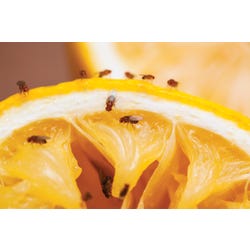 ANGLEIMAGES_FULLIMAGE
