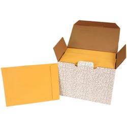 School Smart No Clasp Envelopes with Gummed Flap, 9 x 12 Inches, Kraft Brown, Pack of 250 2013918