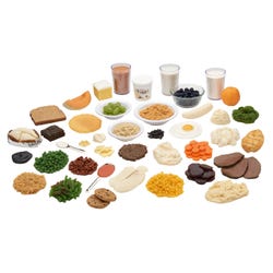 Nasco Healthcare Carb Counting Food Replica Kit and TearPad, Set of 41