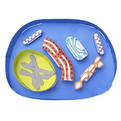 NewPath Learning Simple Animal Cell 3-D Model Kit, 1 Teacher Guide and 5 Student Guides 2087425