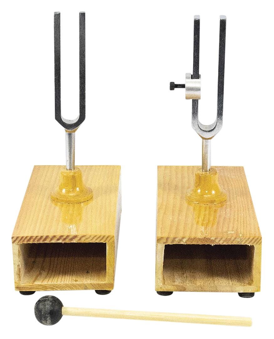 Frey Scientific Sympathetic-Differential Tuning Forks with Mallet, Set of 2
