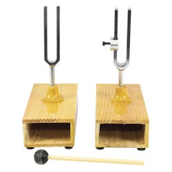 Frey Scientific Sympathetic-Differential Tuning Forks with Mallet, Set of 2