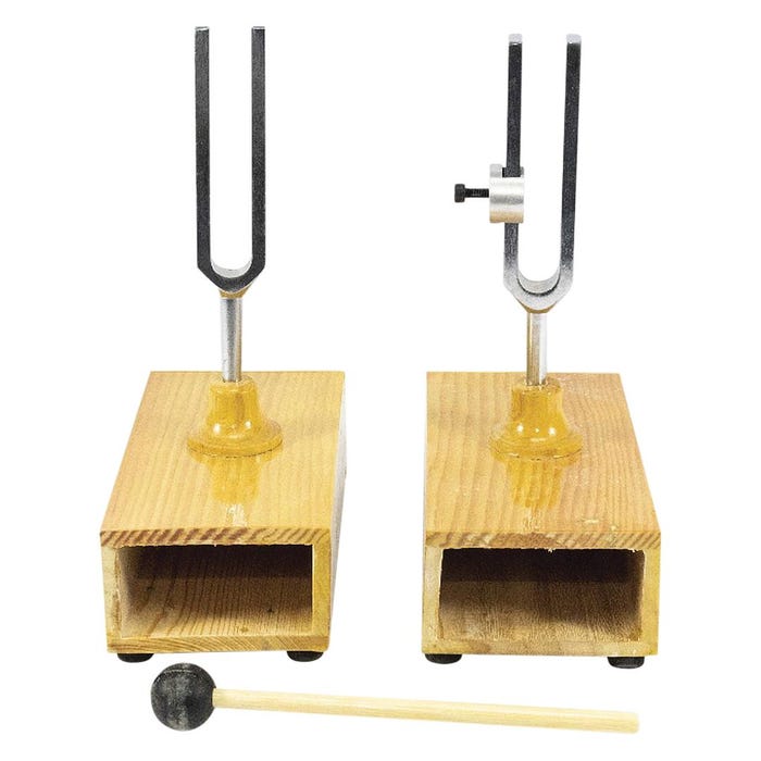 Frey Scientific Sympathetic-Differential Tuning Forks with Mallet, Set of 2