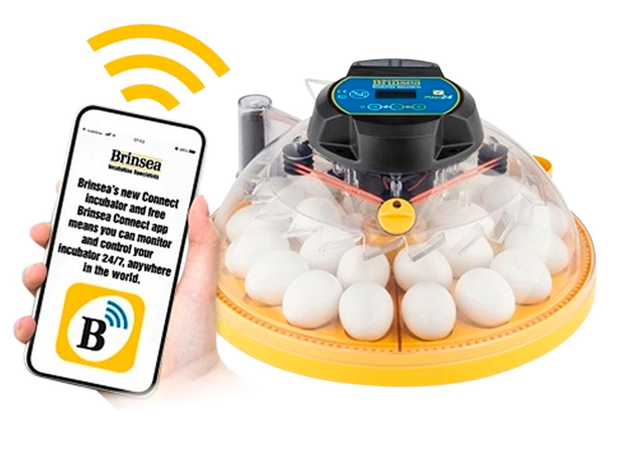 Brinsea Maxi 24 EX Connect Classroom Set 2213525