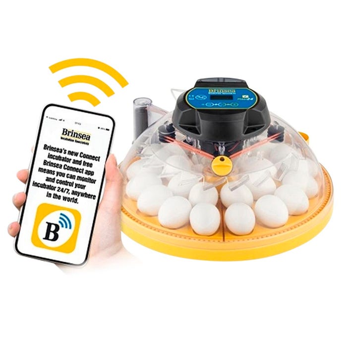 Brinsea Maxi 24 EX Connect Incubator Classroom Pack