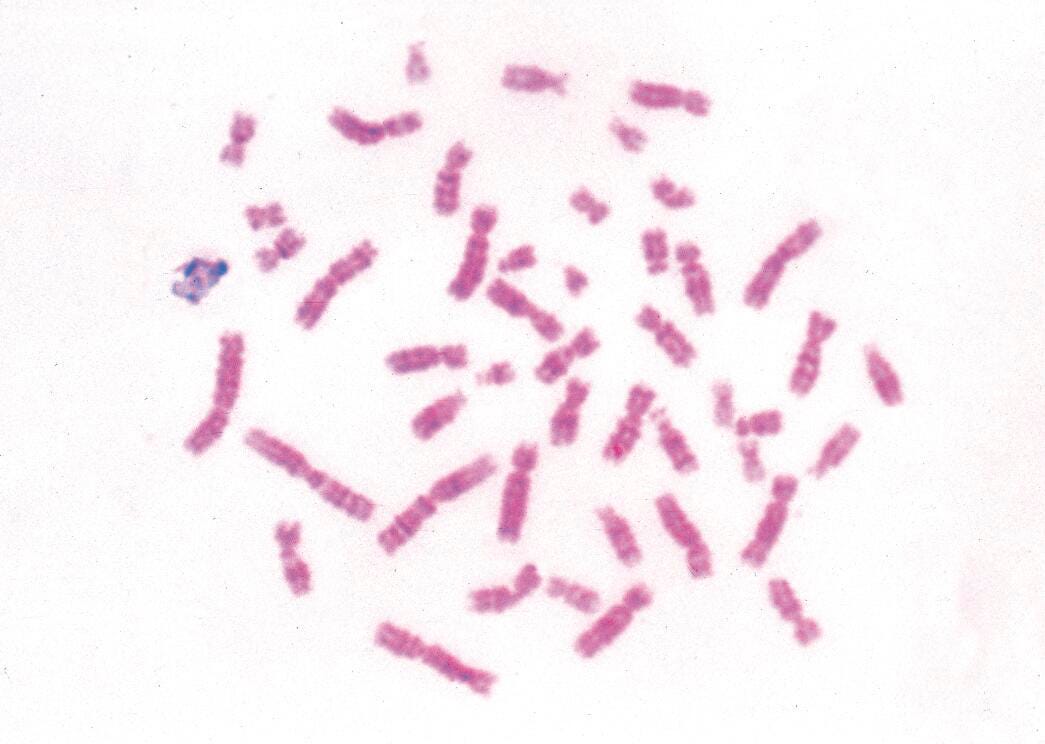 Science Survey Sets, Item Number 567398