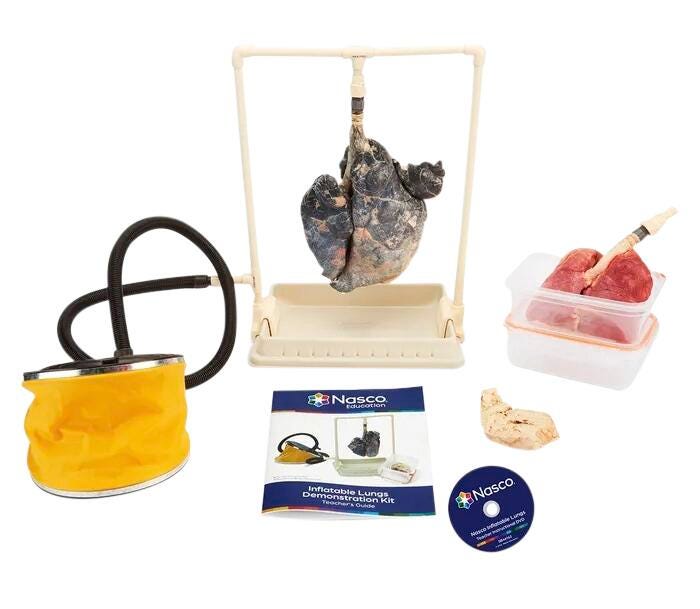 Image for Nasco Inflatable Lungs Comparison Kit with Teacher Instructional DVD from School Specialty