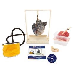 Nasco Inflatable Lungs Comparison Kit with Teacher Instructional DVD