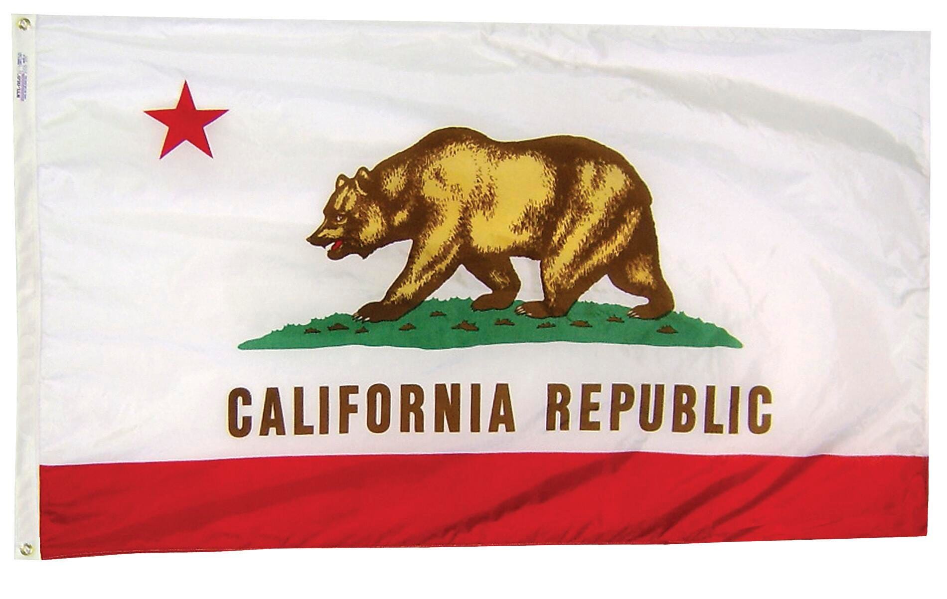 Image for Annin California State Flag, Heavy Weight Nylon, Outdoor, 4 x 6 Feet from School Specialty