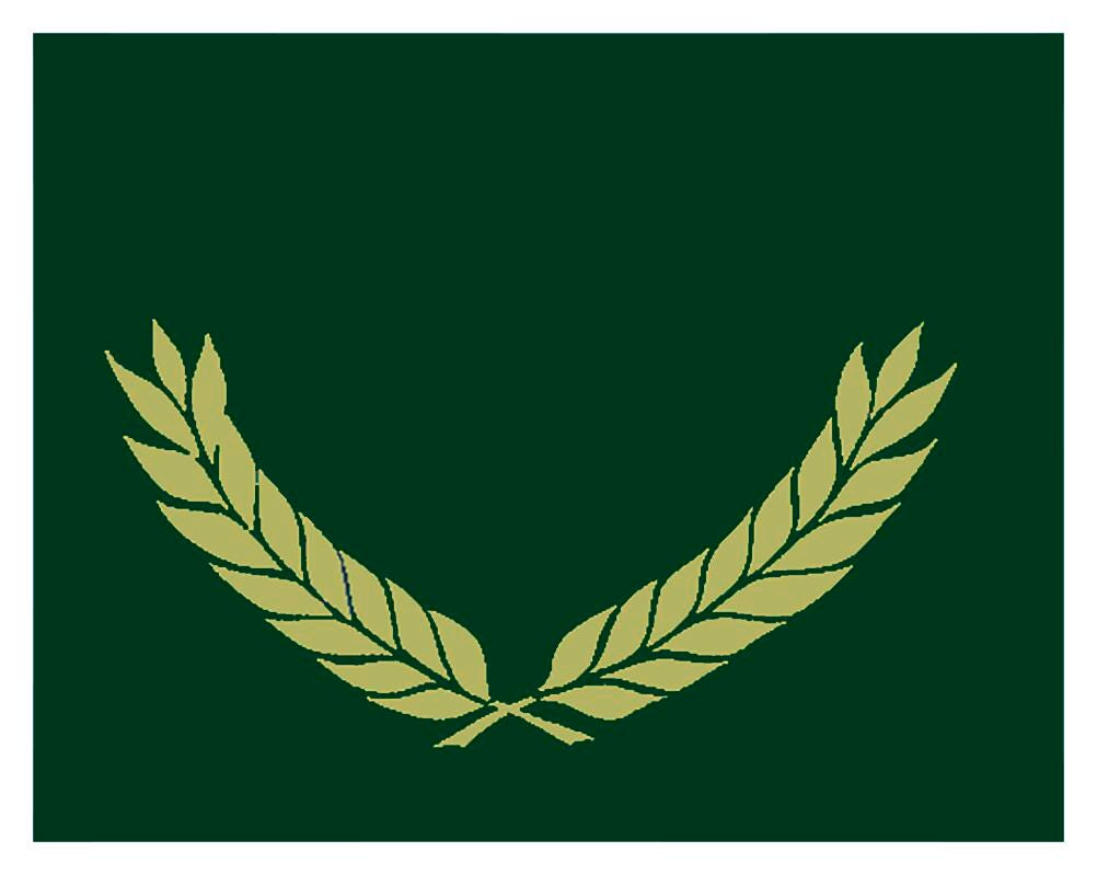 Hayes Certificate Folders, Gold Foil Stamped, Green, Pack of 30, Item Number 2019604