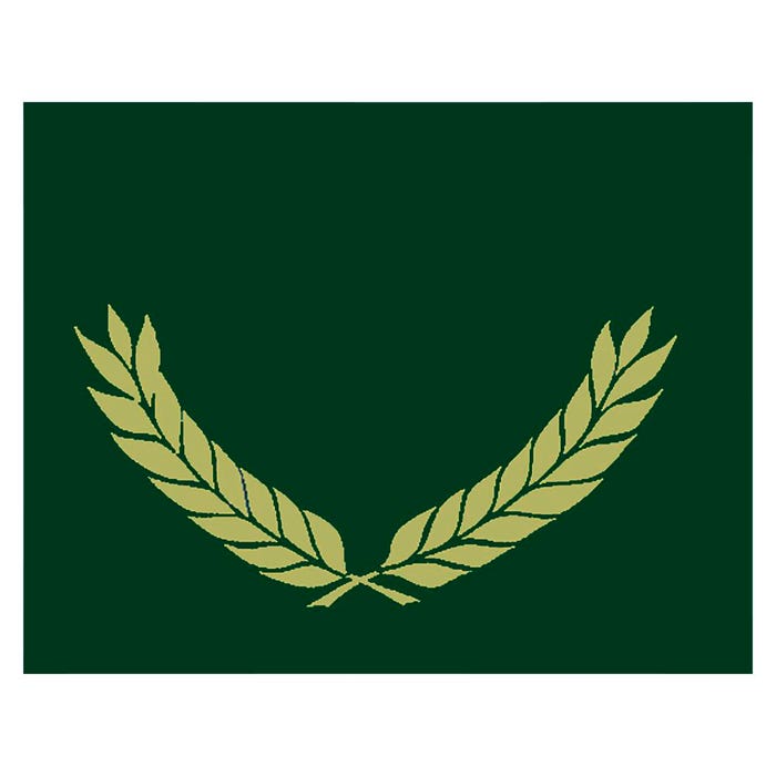 Hayes Certificate Folders, Gold Foil Stamped, Green, Pack of 30
