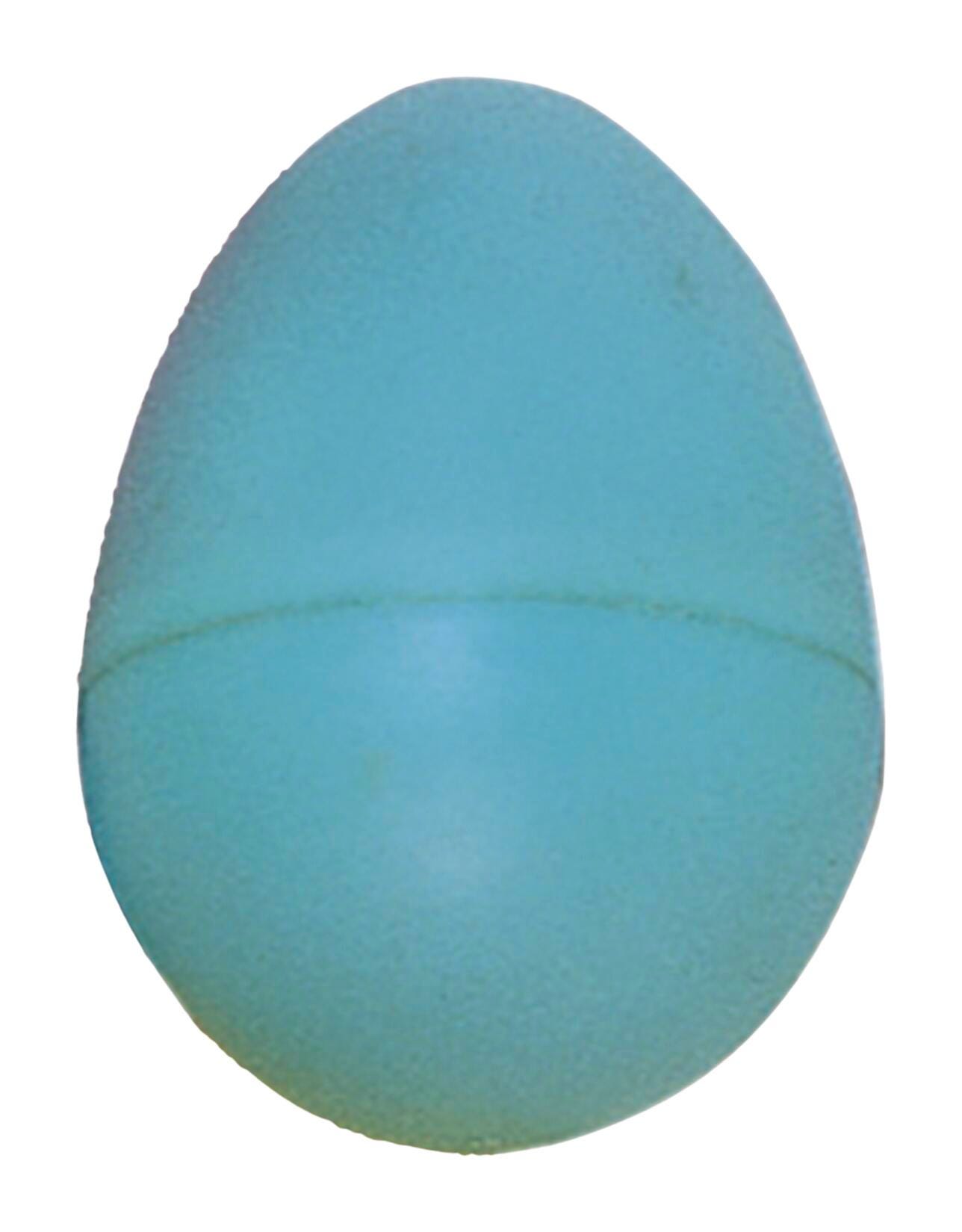 Rhythm Band Durable RBI Egg Shaker