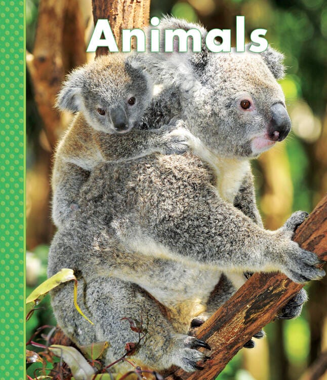 Delta Science First Reader Animals Collection, Item Number 2107228