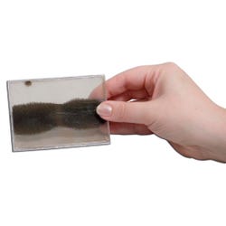 Science Magnetism Study, Item Number 130-4610