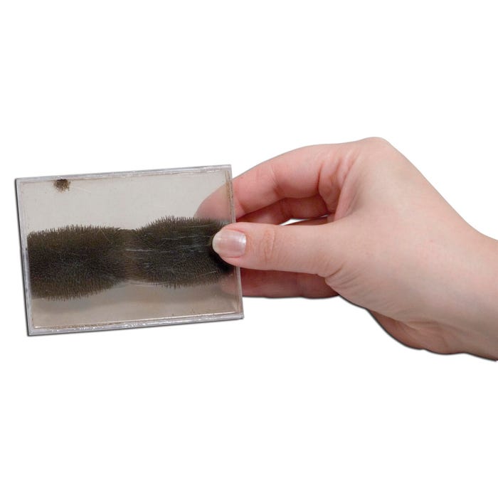 United Scientific Magnetic Field Demonstrator, Student Version