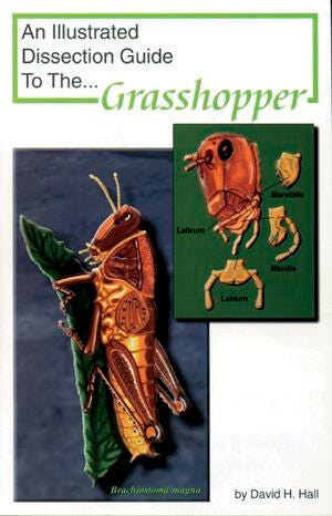 Frey Scientific Mini-Guide to Grasshopper Dissection, Item Number 597015