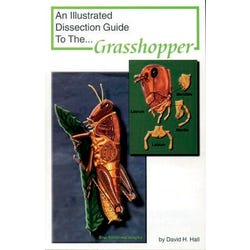 Frey Scientific Mini-Guide to Grasshopper Dissection, Item Number 597015
