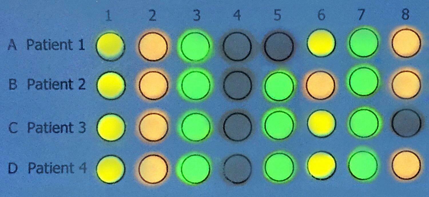 DNA/RNA Microarrays 2134042