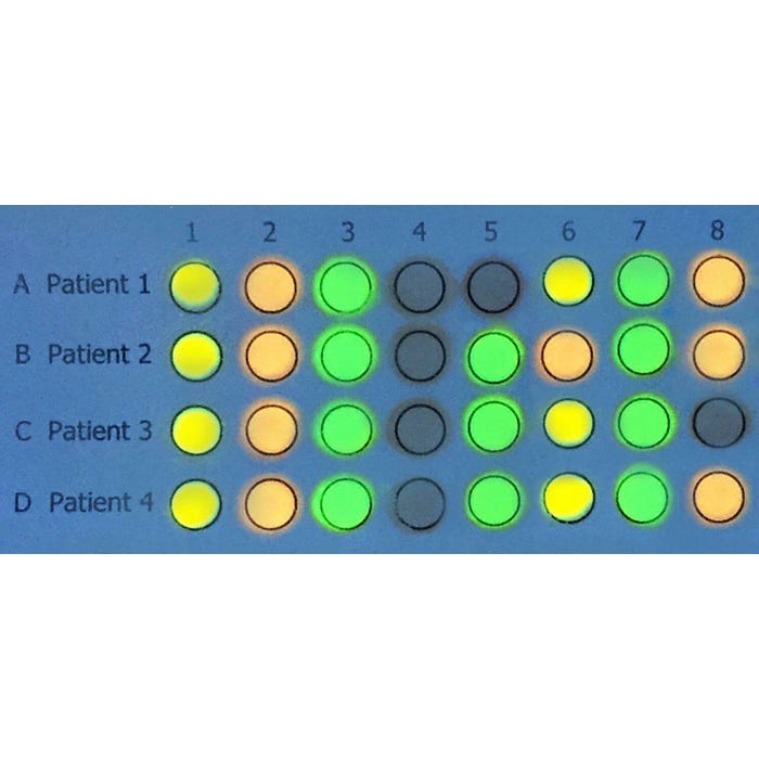 Edvotek DNA/RNA Microarrays
