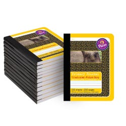 Zaner-Bloser Picture Story Composition Book, 9-3/4 x 7-1/2 Inches, 100 Sheets, Pack of 12