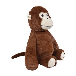 ANGLEIMAGES_FULLIMAGE