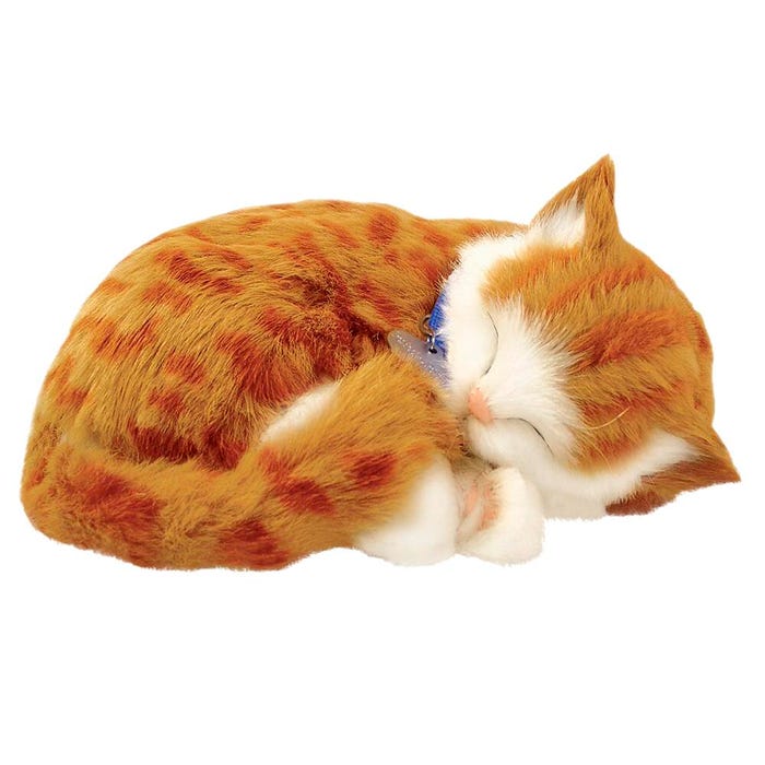 Perfect Petzzz Orange Tabby Cat