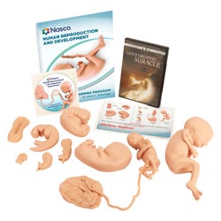 Nasco Human Reproduction and Development Kit with DVD