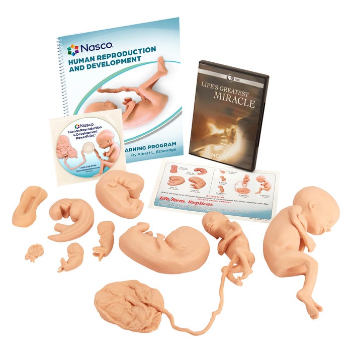 Nasco Human Reproduction and Development Kit with DVD