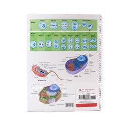 ANGLEIMAGES_FULLIMAGE