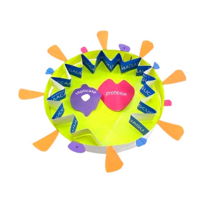 NewPath Learning Coronavirus COVID-19 Structure 3-D Model Making Kit