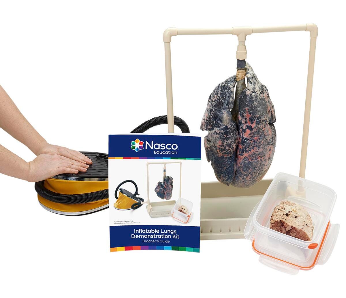 Image for Nasco Simulated Smoker's Lungs Demonstration Kit from School Specialty