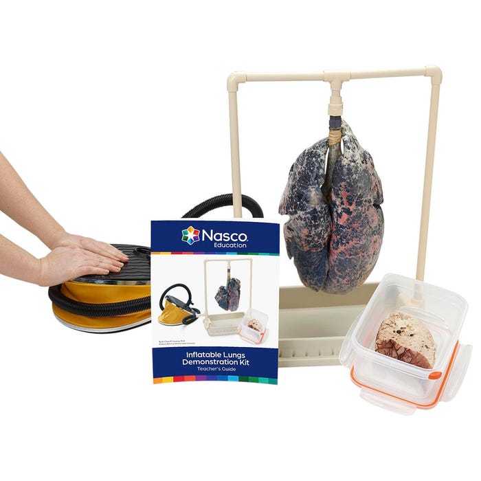 Nasco Simulated Smoker's Lungs Demonstration Kit