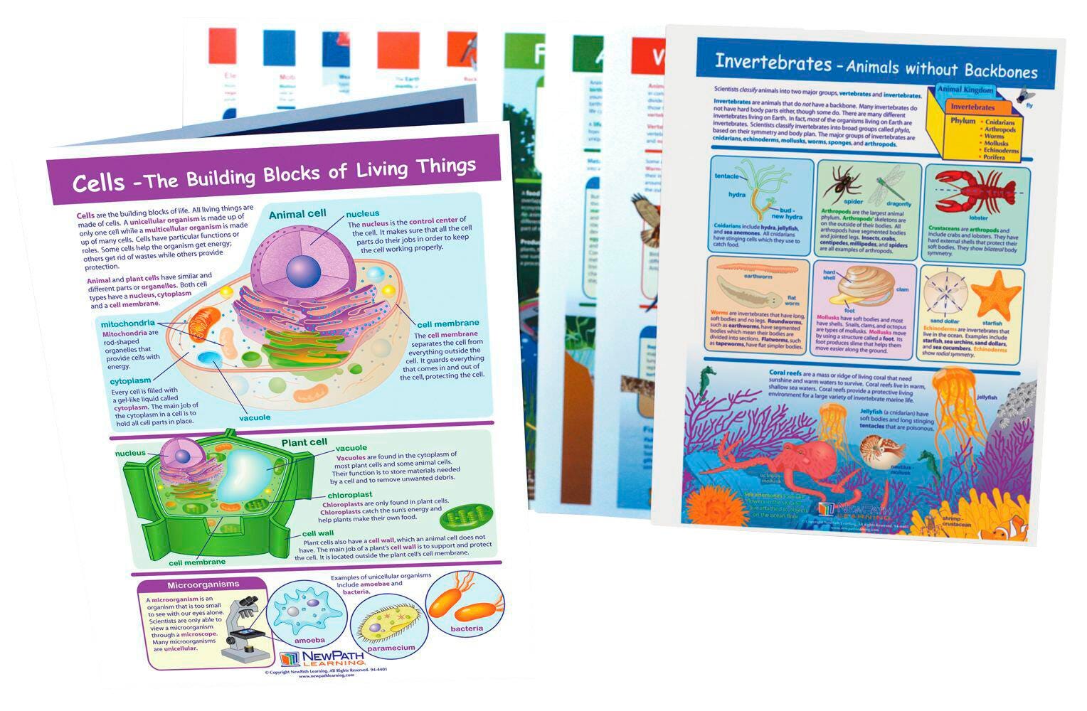 Science Supplies, Resources Supplies, Item Number 1370660