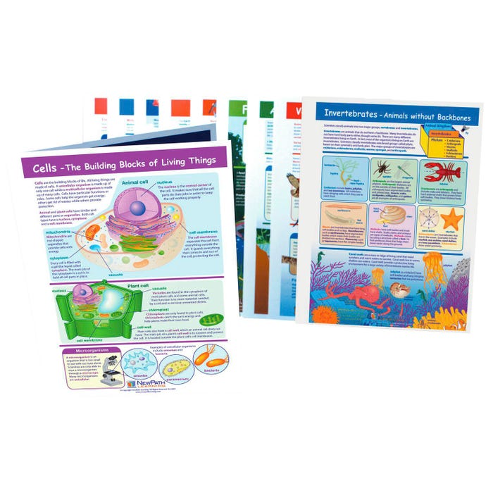 NewPath Learning Visual Learning Guides Science Set, Grade 4